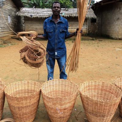 Adding Value To Forest Prodcuts Through Basketry
